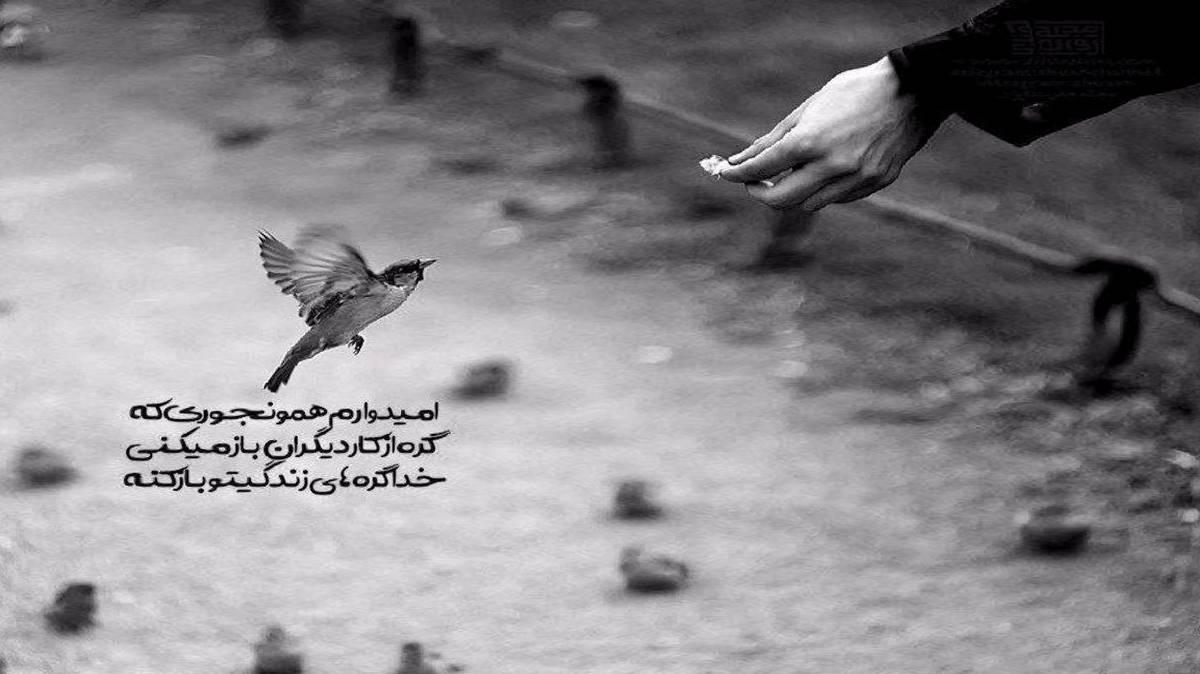 دیوانه اولام ساچینی هورسلر از پویا یحیوی